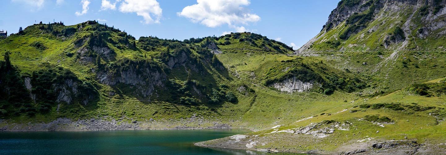 formarinsee.jpg