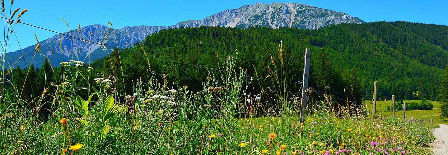 schneeberg_1440x500.jpg