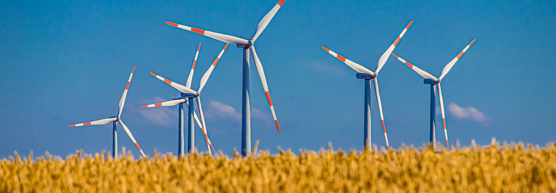 windmill.jpg
