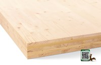 HASSLACHER Brettsperrholz (HASSLACHER CROSS LAMINATED TIMBER)